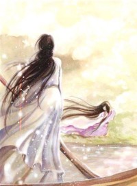 海贼之羽翼天下